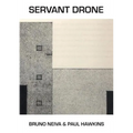 Servant Drone