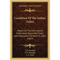 Condition Of The Indian Tribes: Report Of The Joint Special Committee, Appointed Under Joint Resolution Of March 3, 1865 (1867)
