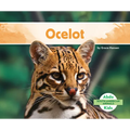 Ocelot
