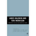 James Baldwin and Toni Morrison: Comparative Critical and Theoretical Essays