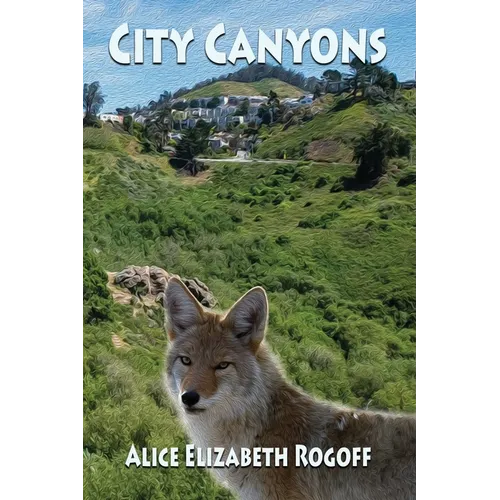City Canyons