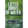 Little Drops of Water: Foundations of Personal Financial Management for Wealth Creation