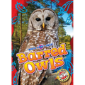 Barred Owls