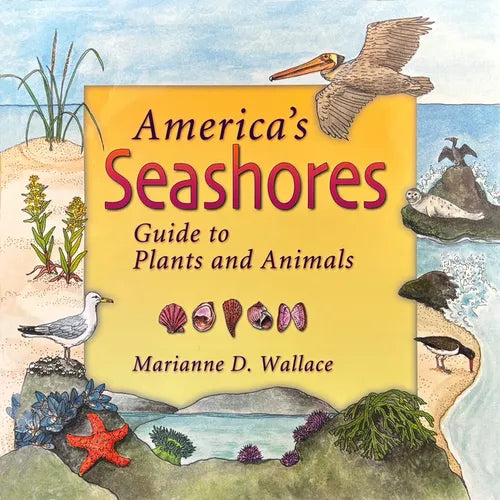 America's Seashores: Guide to Plants and Animals