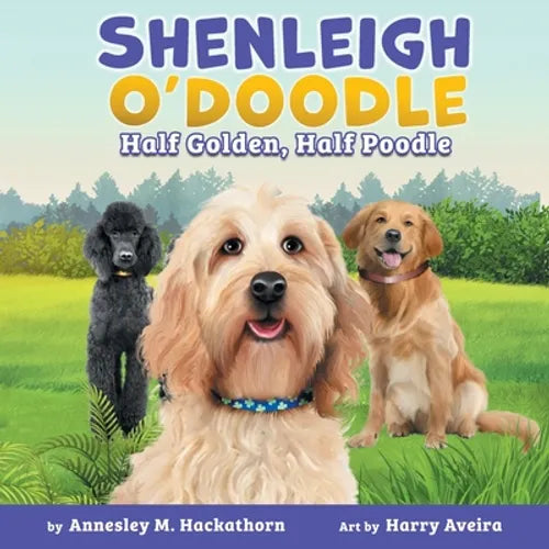 Shenleigh O'Doodle, Half Golden, Half Poodle
