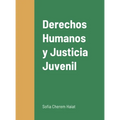 Derechos Humanos y Justicia Juvenil: -