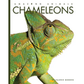 Chameleons