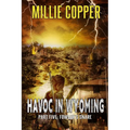 Fowler's Snare: Havoc in Wyoming, Part 5 America's New Apocalypse