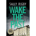Wake the Past: A Midlands Crime Thriller