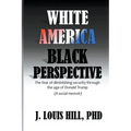 White America, Black Perspective