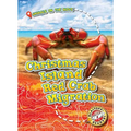 Christmas Island Red Crab Migration