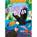 Brilliant Birds
