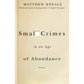 Small Crimes in an Age of Abundance
