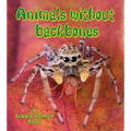 Animals Without Backbones