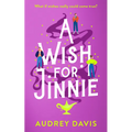 A Wish for Jinnie: A Magical Romantic Comedy with a Difference!