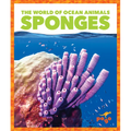 Sponges