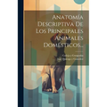 Anatomía Descriptiva De Los Principales Animales Domésticos...
