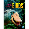 Crazy Birds