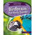 Birdbrain: Are Birds Dumb?: Are Birds Dumb?