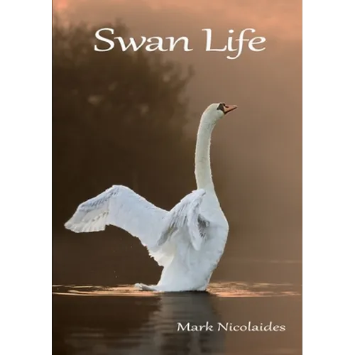 Swan Life