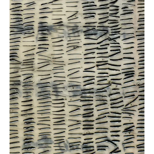 Catherine Eaton Skinner: 108