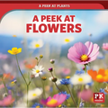A Peek at Flowers