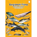 Bangladeshi Fishes Nutritional Values & some British favourites