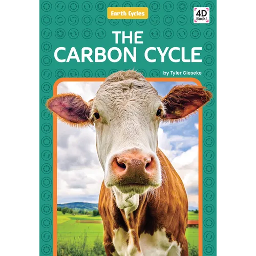 Carbon Cycle