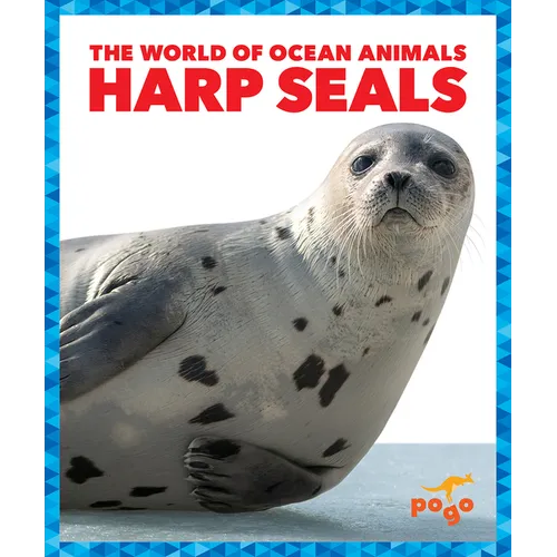Harp Seals
