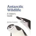 Antarctic Wildlife: A Visitor's Guide