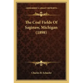 The Coal Fields Of Saginaw, Michigan (1898)