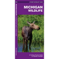 Michigan Wildlife: A Folding Pocket Guide to Familiar Animals