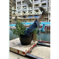 Radical Philosophy 2.12 / Spring 2022
