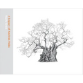 A Legacy of Ancient Oaks