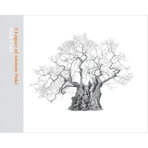 A Legacy of Ancient Oaks