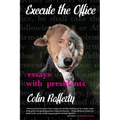 Execute the Office: Essays with Presidents