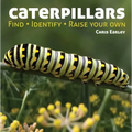 Caterpillars: Find, Identify, Raise Your Own