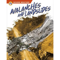 Avalanches and Landslides