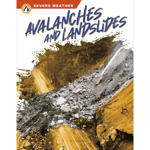 Avalanches and Landslides