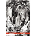 The Celtic Druids