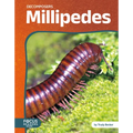 Millipedes