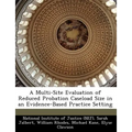 A Multi-Site Evaluation of Reduced Probation Caseload Size in an Evidence-Based Practice Setting