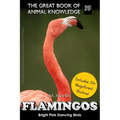 Flamingos: The Bright Pink Dancing Birds