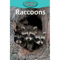 Raccoons