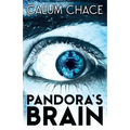 Pandora's Brain