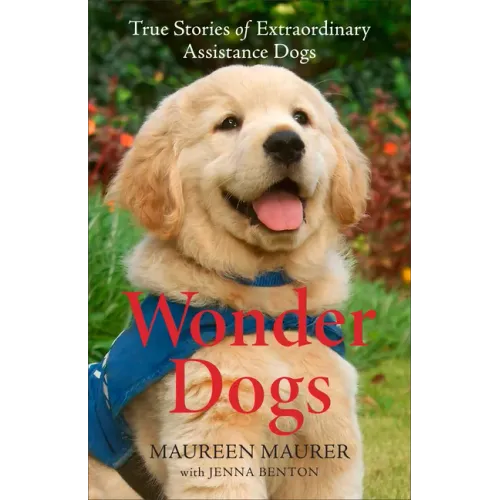 Wonder Dogs