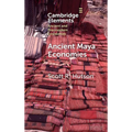 Ancient Maya Economies