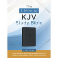 The 1-Minute KJV Study Bible (Pewter Blue): Featuring More Than 800 Quick, Easy-To-Read Entries on Scripture's Key People, Places, Events, and More