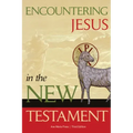 Encountering Jesus in the New Testament