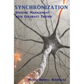 Synchronization: Systemic Management with the Goldratt Theory